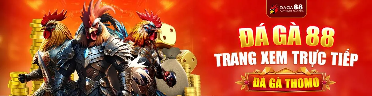 Đá Gà Trực Tuyến Hấp Dẫn tại 798bet