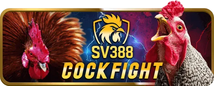Hướng dẫn cá cược thể thao 798bet