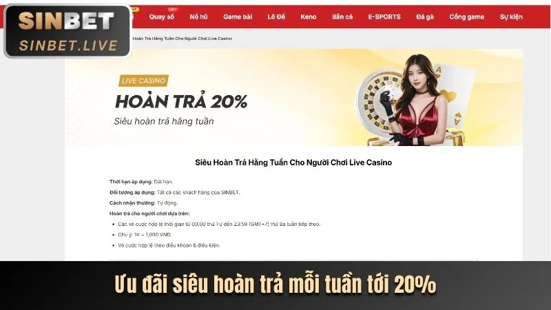 Hoàn trả cược thể thao 798bet